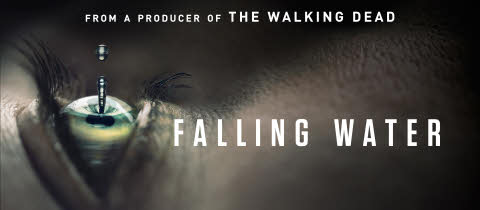 Falling Water logo dream study
